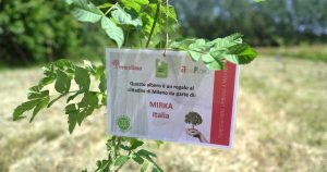 Un nuovo traguardo per MIRKA in Italia